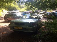 Een natuurgebied juist buiten Bled