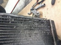 2012-09-07 20.45.21.jpg