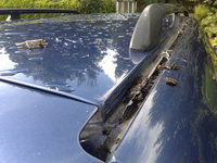 Foto 2: wat heb ik nou …