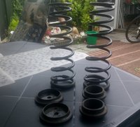 DSC_0320 (1024x928).jpg