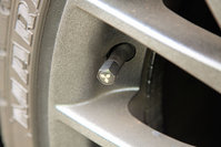 IMG_6199 [1024x768].jpg